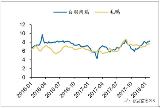 今日鸡蛋价格最新行情分析