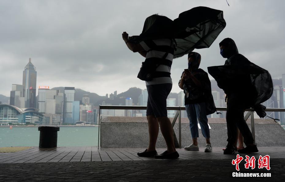 香港台风最新消息今天，台风动态与应对措施