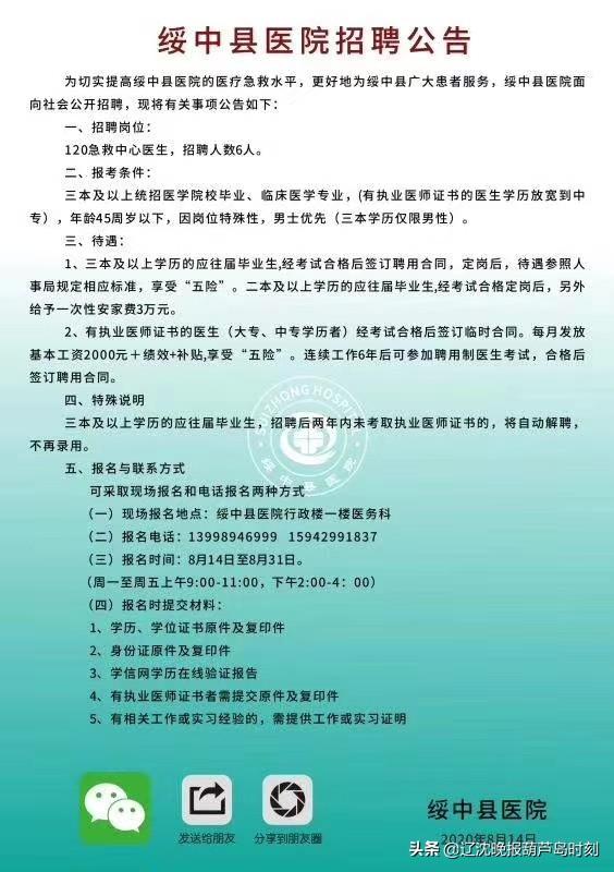 绥中招聘网最新信息概览