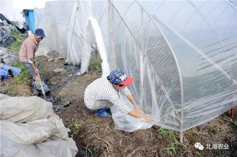 台风生成最新消息，全球视野下的监测与应对