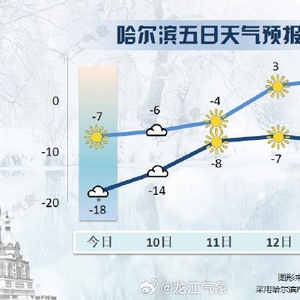 哈尔滨最新天气预报，气象变化与应对策略