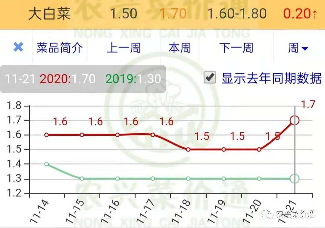 白菜价格最新行情走势分析