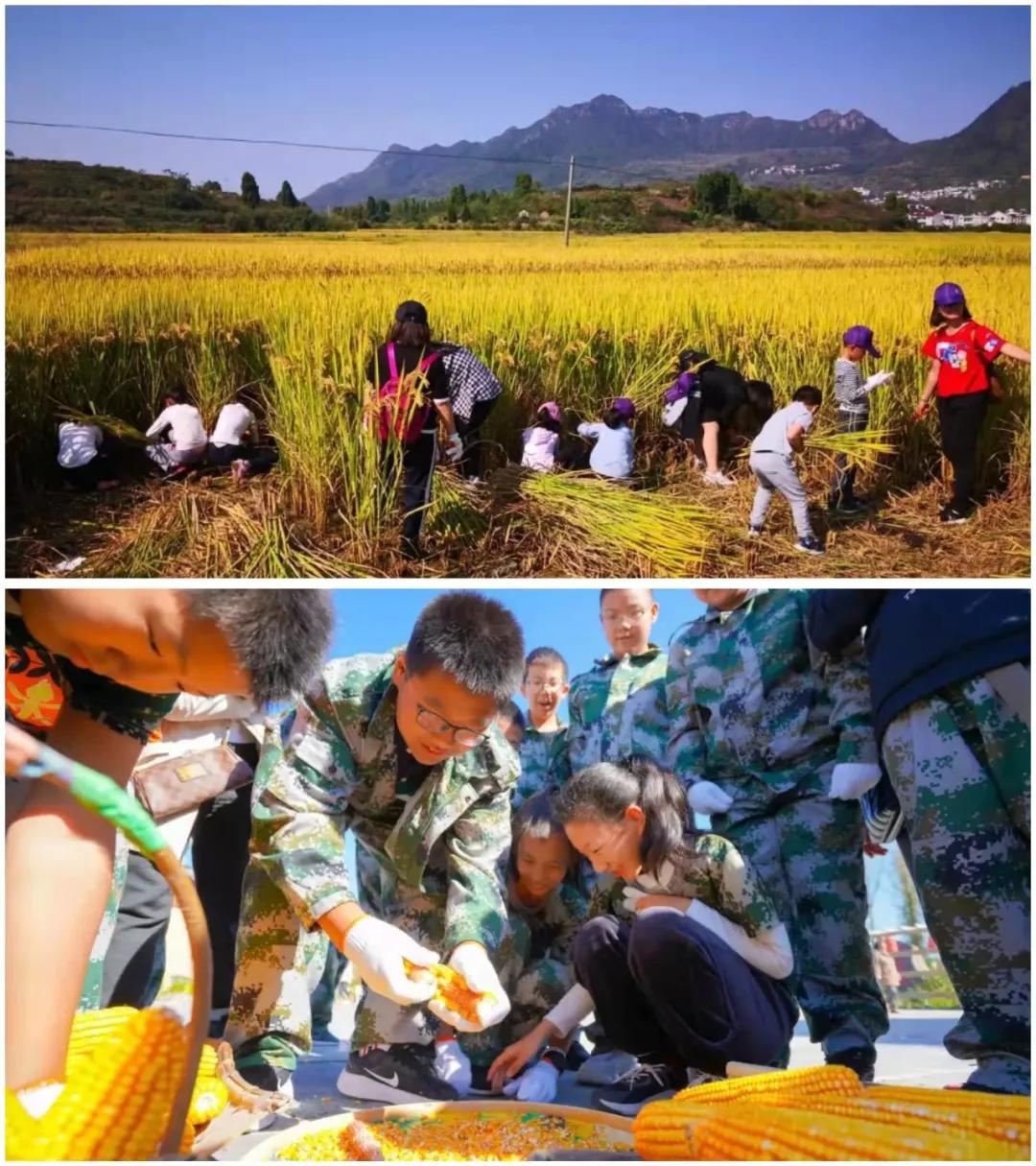 最新电影免费观看的网站，探索免费影视娱乐的新天地