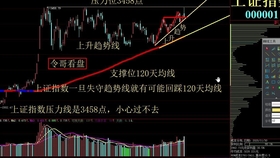 今天股市最新行情分析与展望