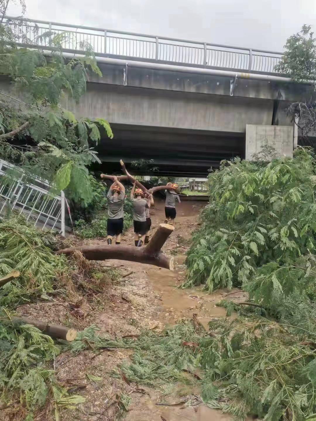 广东最近台风最新消息，风雨中的坚守与应对之道