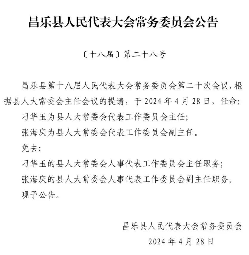 潍坊最新人事任免动态