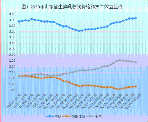 山东废铜价格最新行情分析